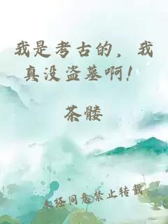 我是考古的，我真没盗墓啊！