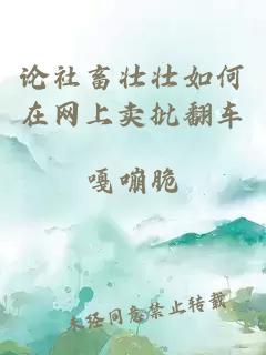 论社畜壮壮如何在网上卖批翻车