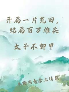 开局一片荒田，结局百万雄兵